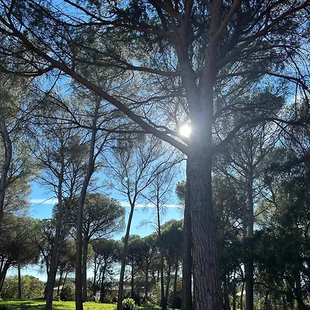 Domaine Valescure 1 Ou 2 Pieces Vue Jardin Ou Piscine Saint-Raphael (Var)