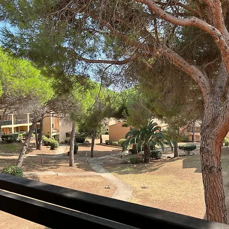 Apartment Domaine Valescure 1 Ou 2 Pieces Vue Jardin Ou Piscine